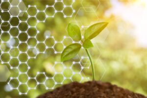 Eat sustainable... choose wisely !