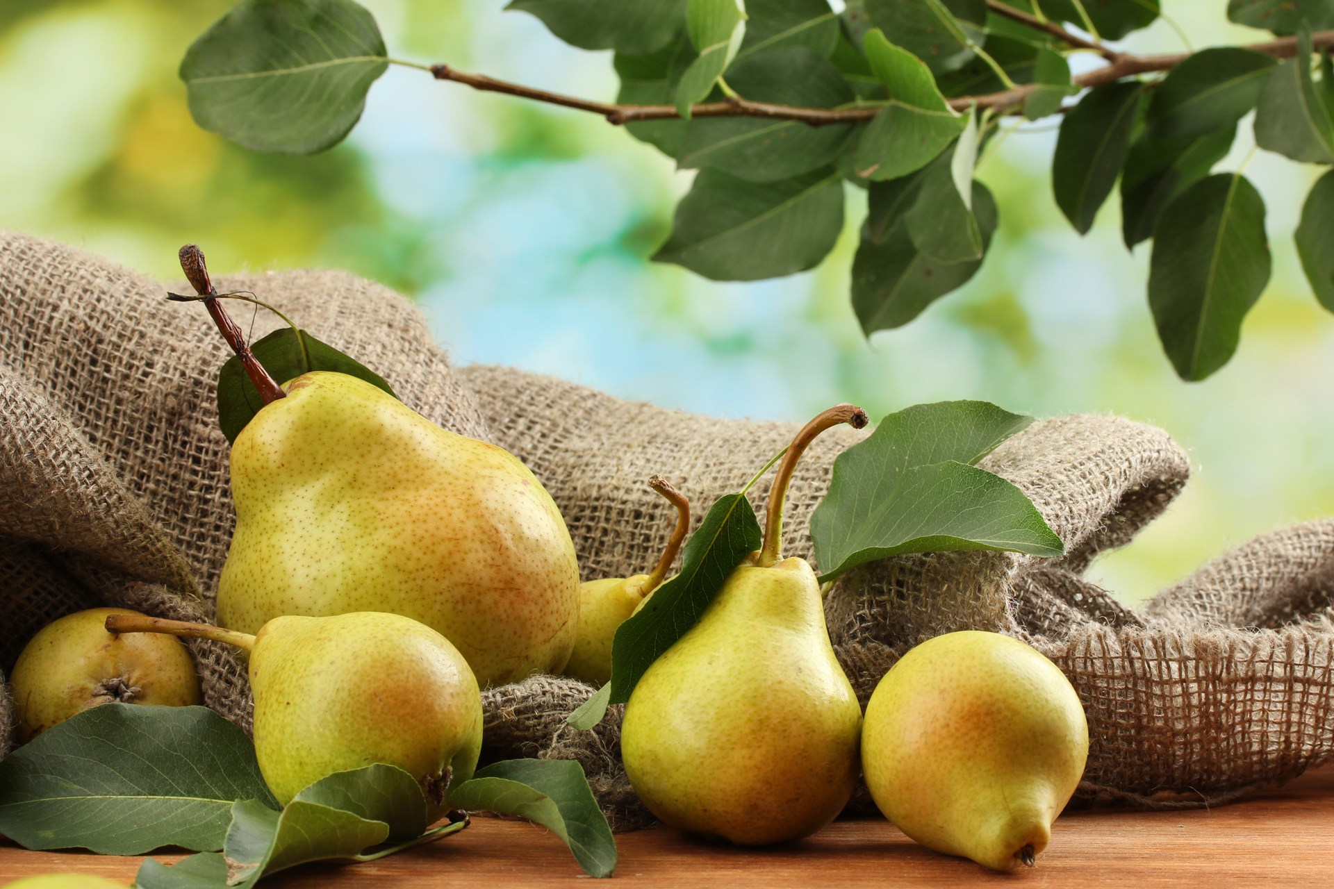 Do you know pear benefits?
