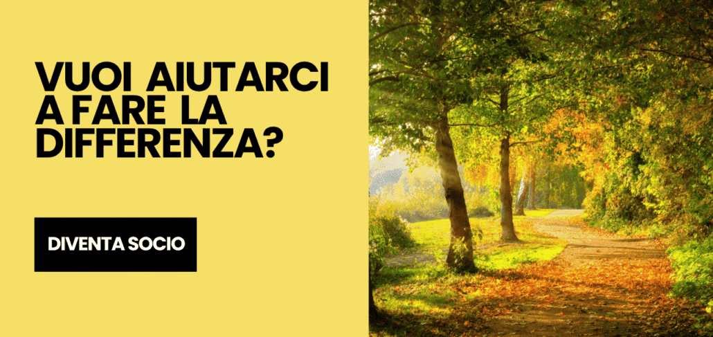 Vittoria sulla trasparenza,di PIU’INFORMA,sospese due gare
